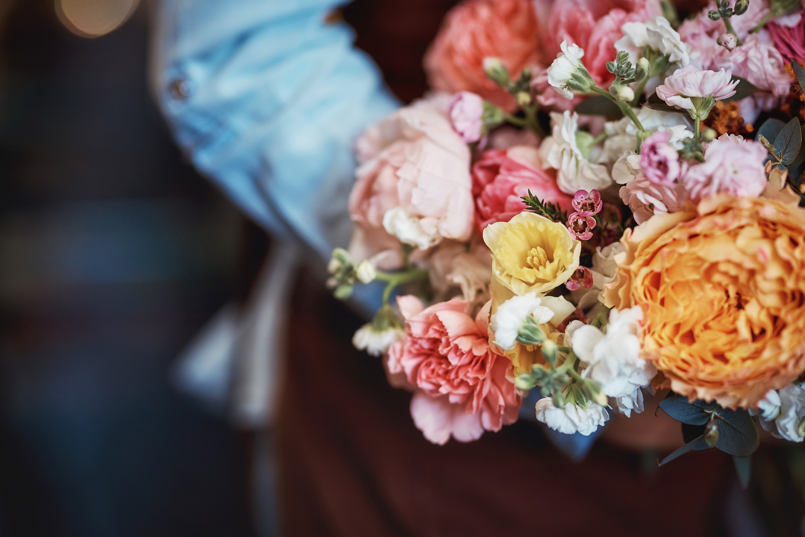 Statewide Cremations featured image